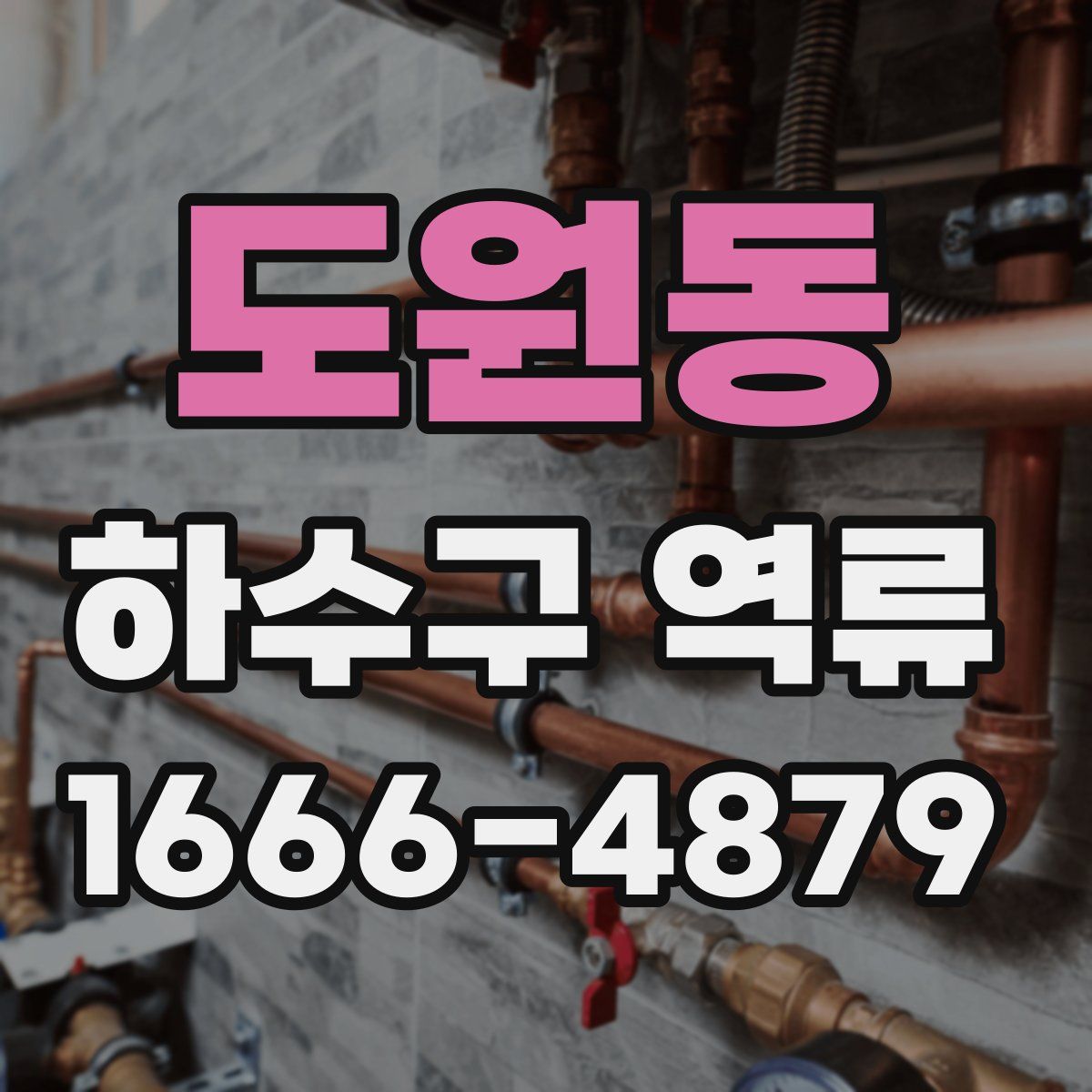 도원동 하수구 역류