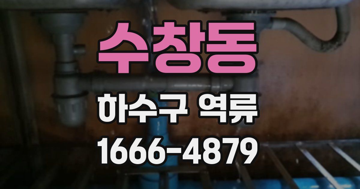 수창동 하수구 역류