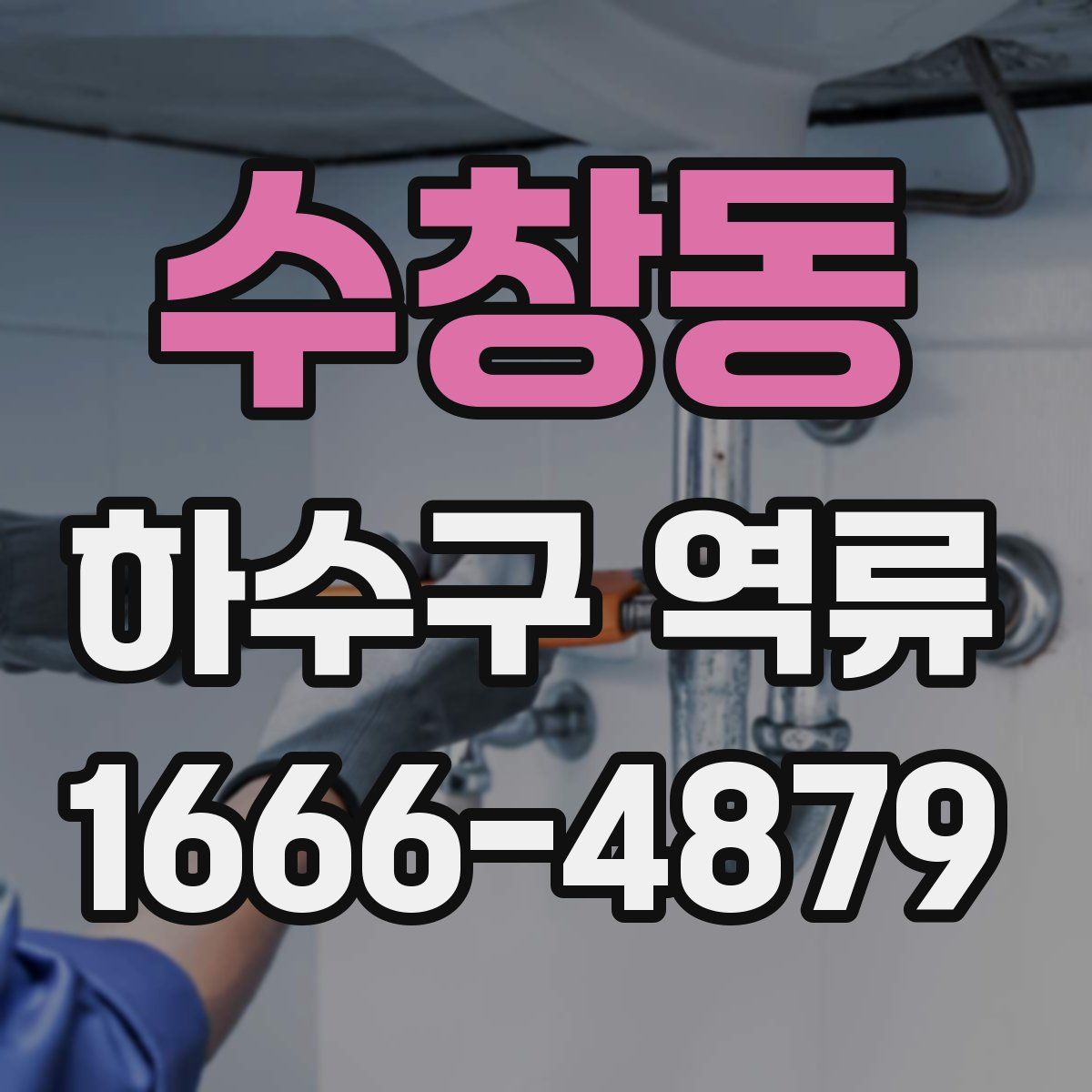 수창동 하수구 역류