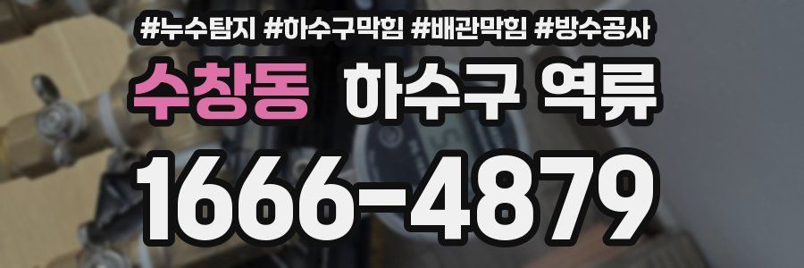 수창동 하수구 역류