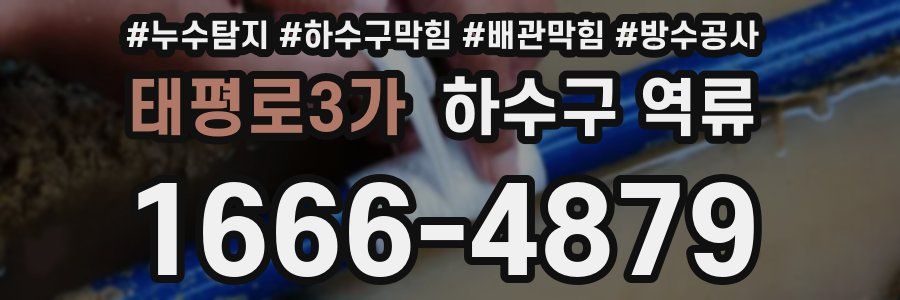태평로3가 하수구 역류