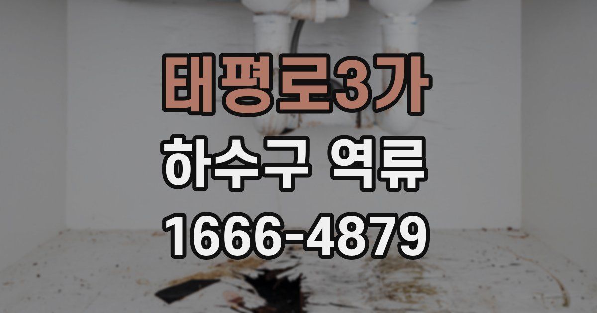 태평로3가 하수구 역류