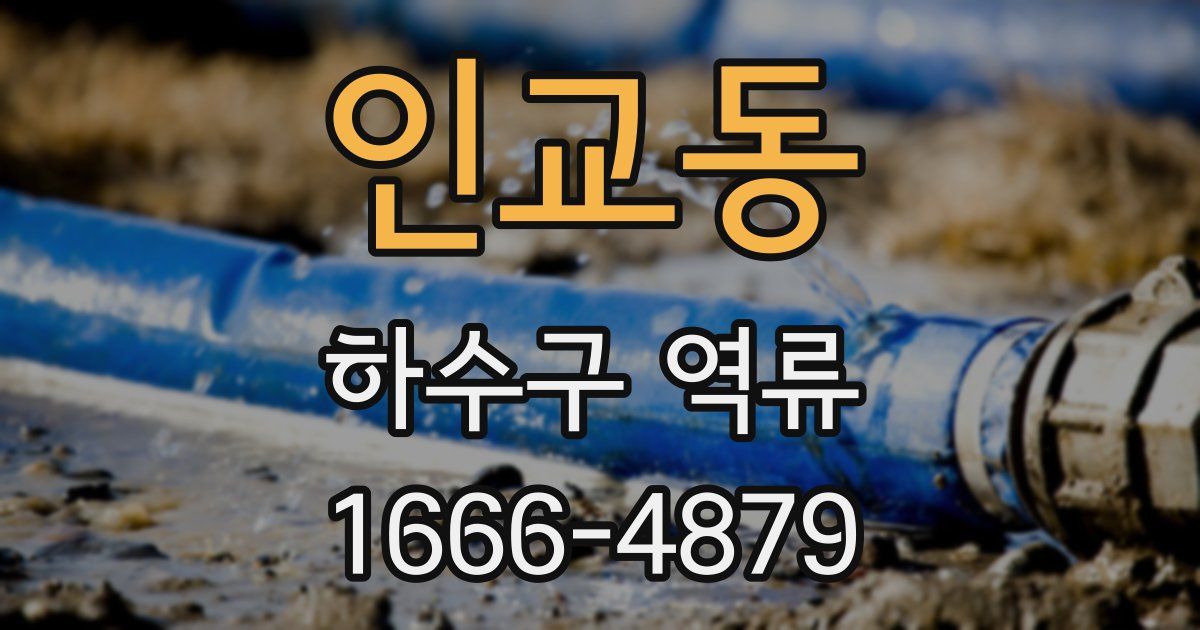 인교동 하수구 역류