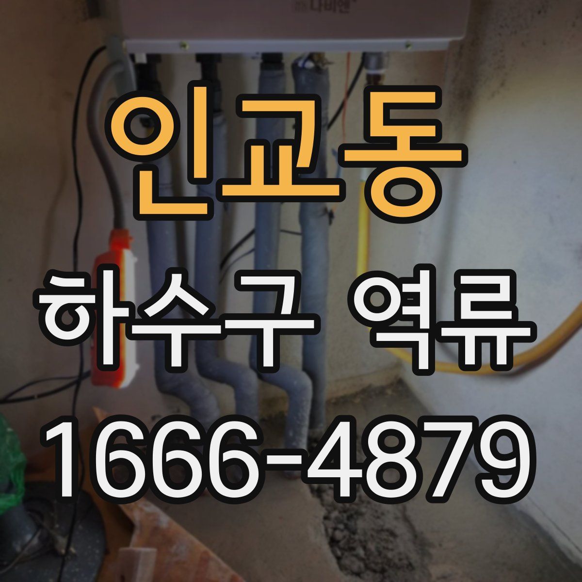 인교동 하수구 역류