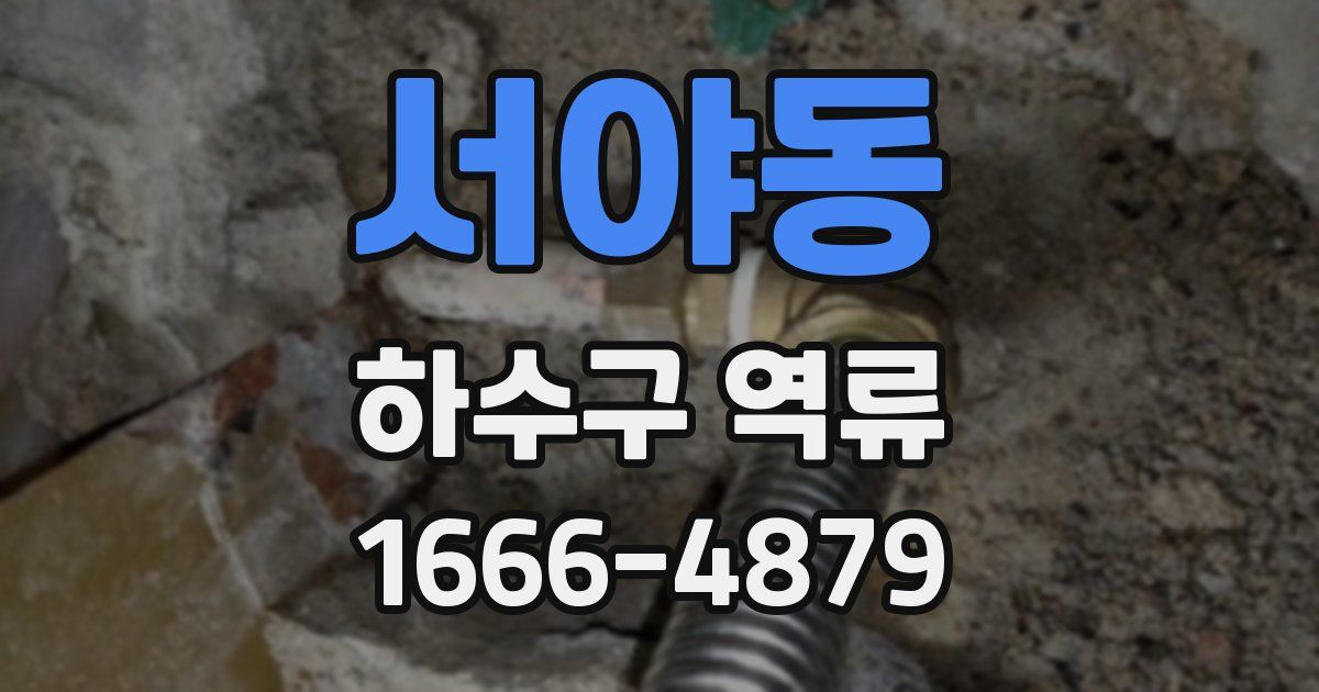 서야동 하수구 역류