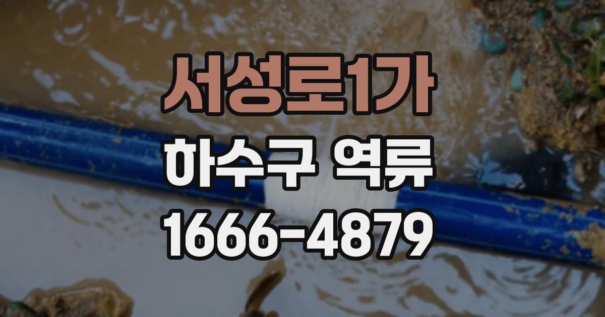 서성로1가 하수구 역류