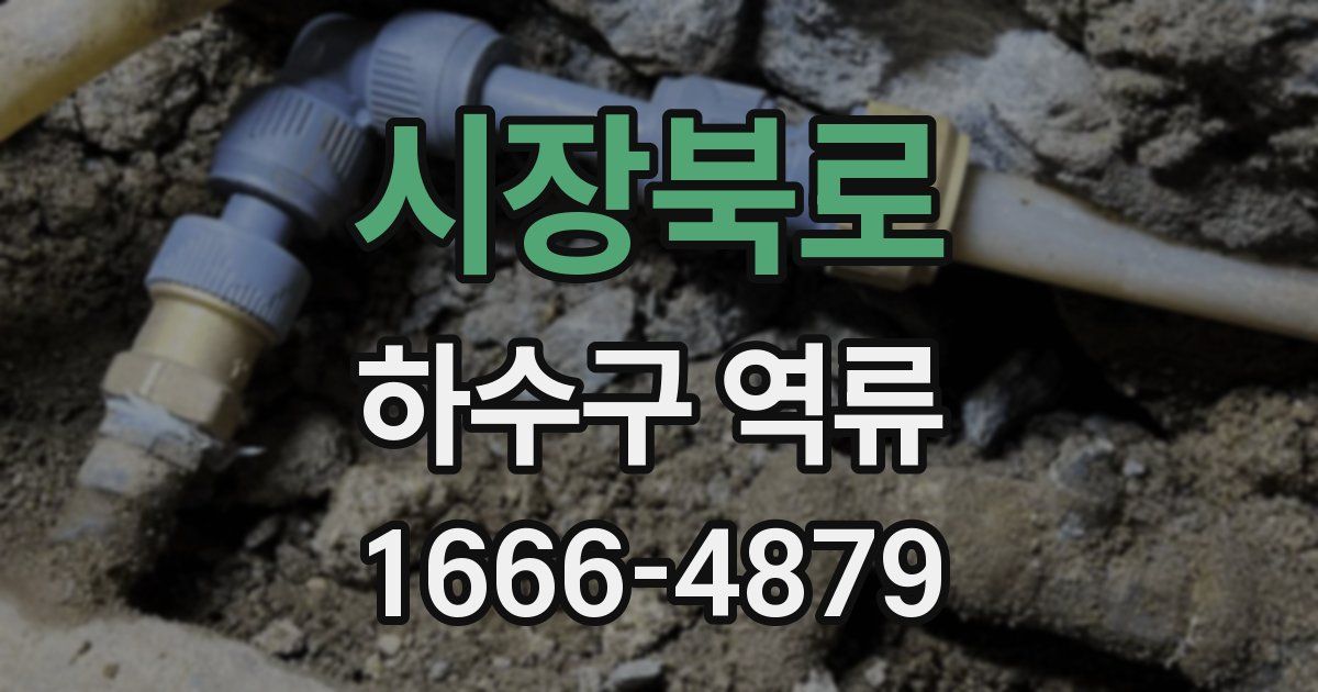 시장북로 하수구 역류