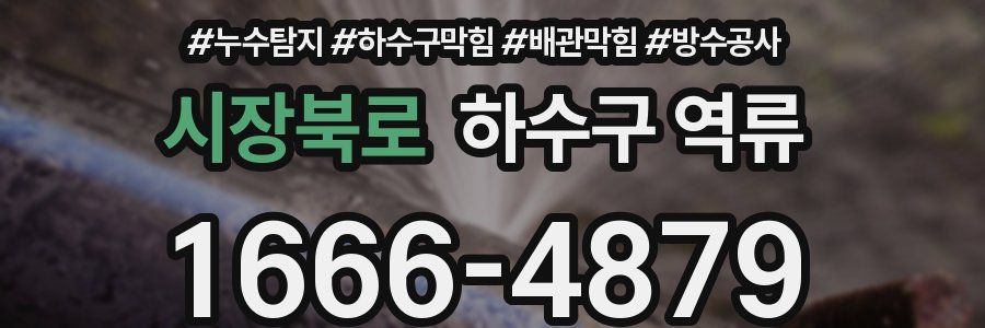 시장북로 하수구 역류