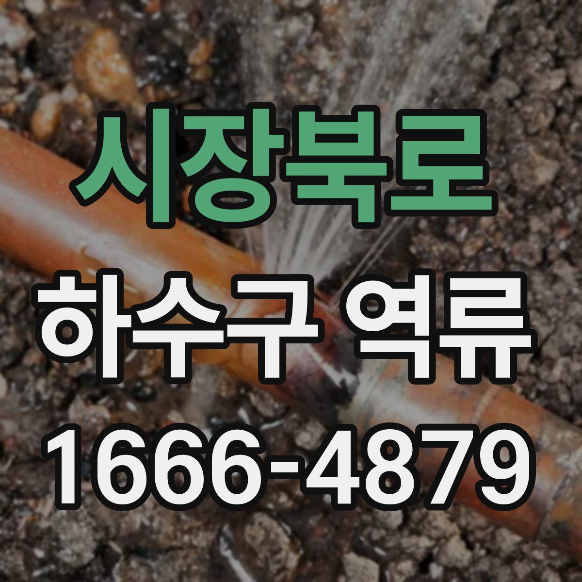 시장북로 하수구 역류