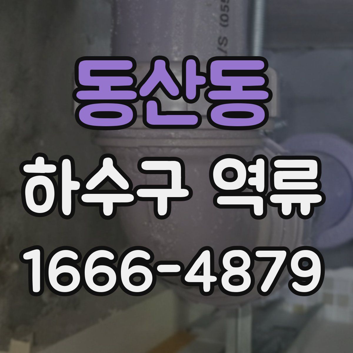 동산동 하수구 역류