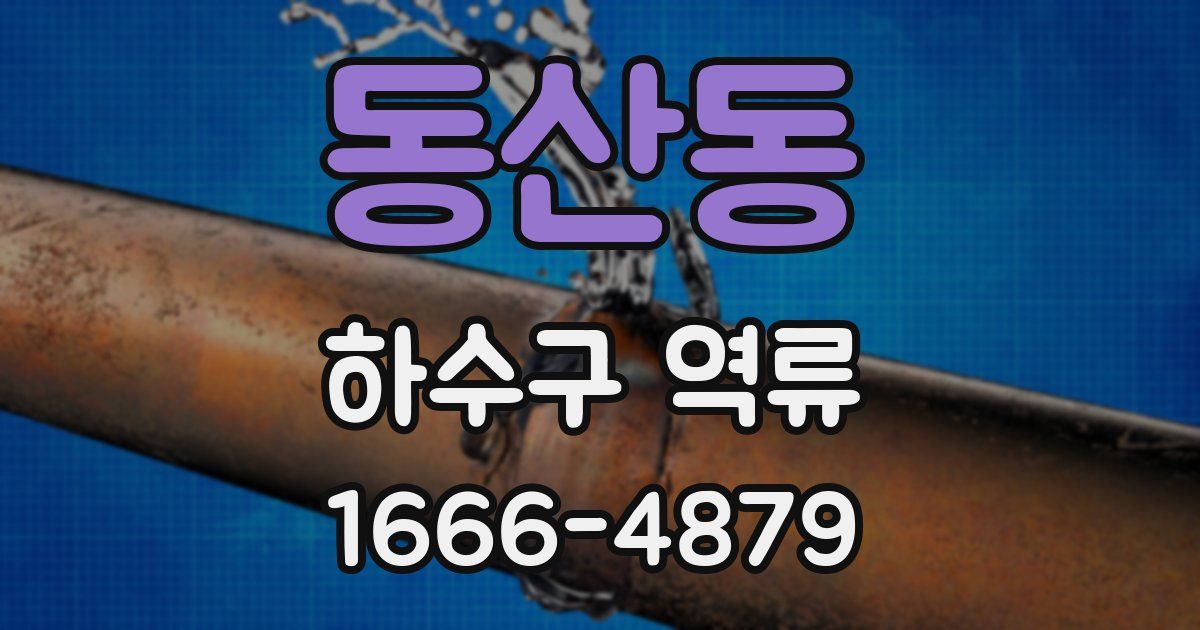 동산동 하수구 역류