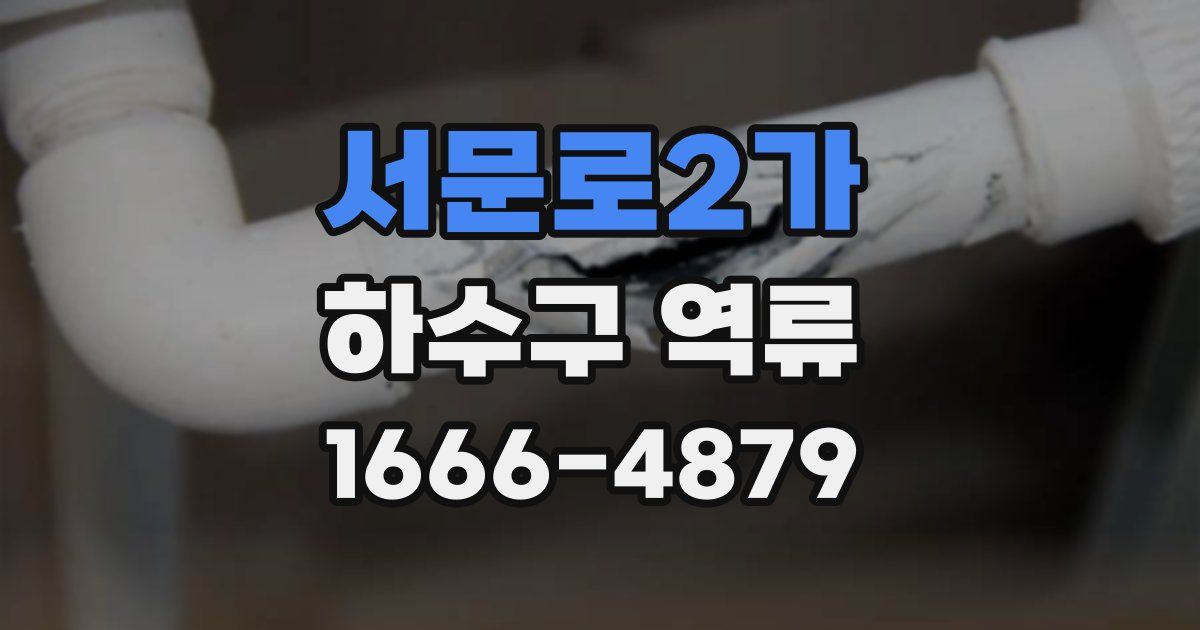 서문로2가 하수구 역류