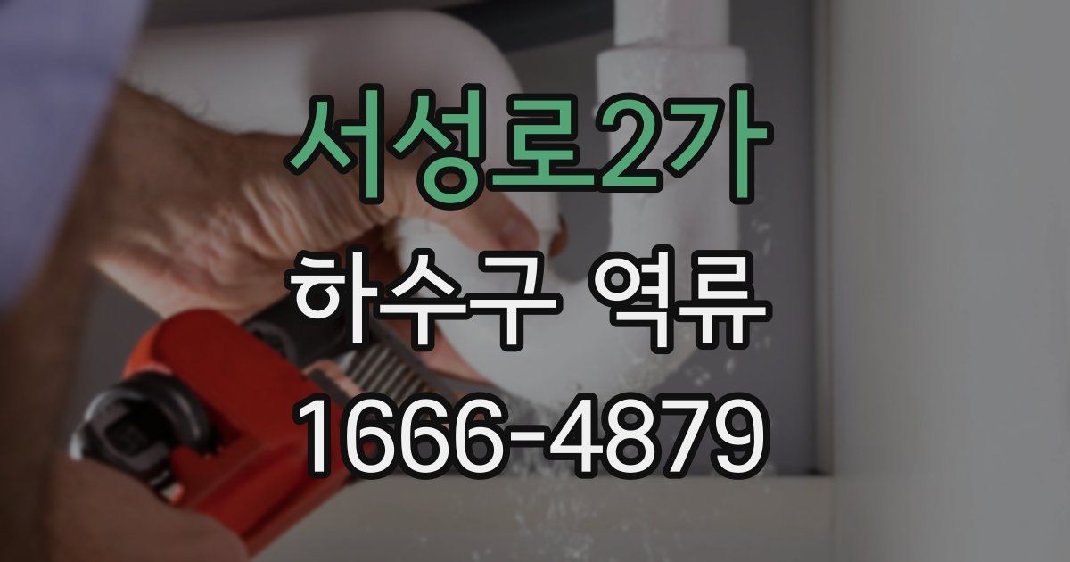 서성로2가 하수구 역류
