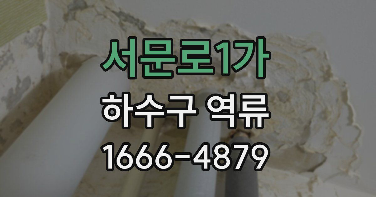 서문로1가 하수구 역류