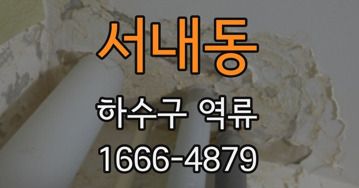 서내동 하수구 역류