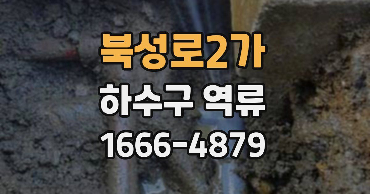북성로2가 하수구 역류