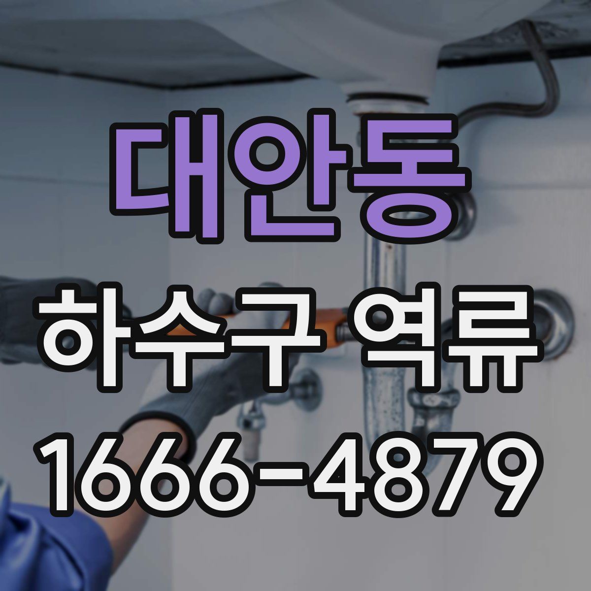 대안동 하수구 역류