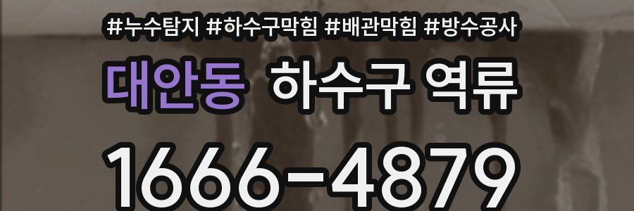 대안동 하수구 역류