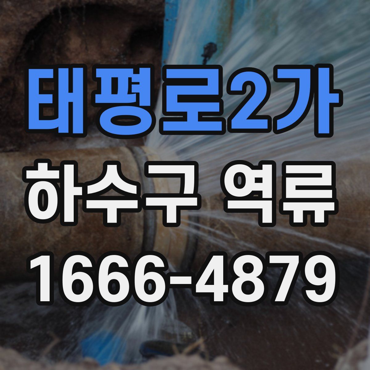 태평로2가 하수구 역류