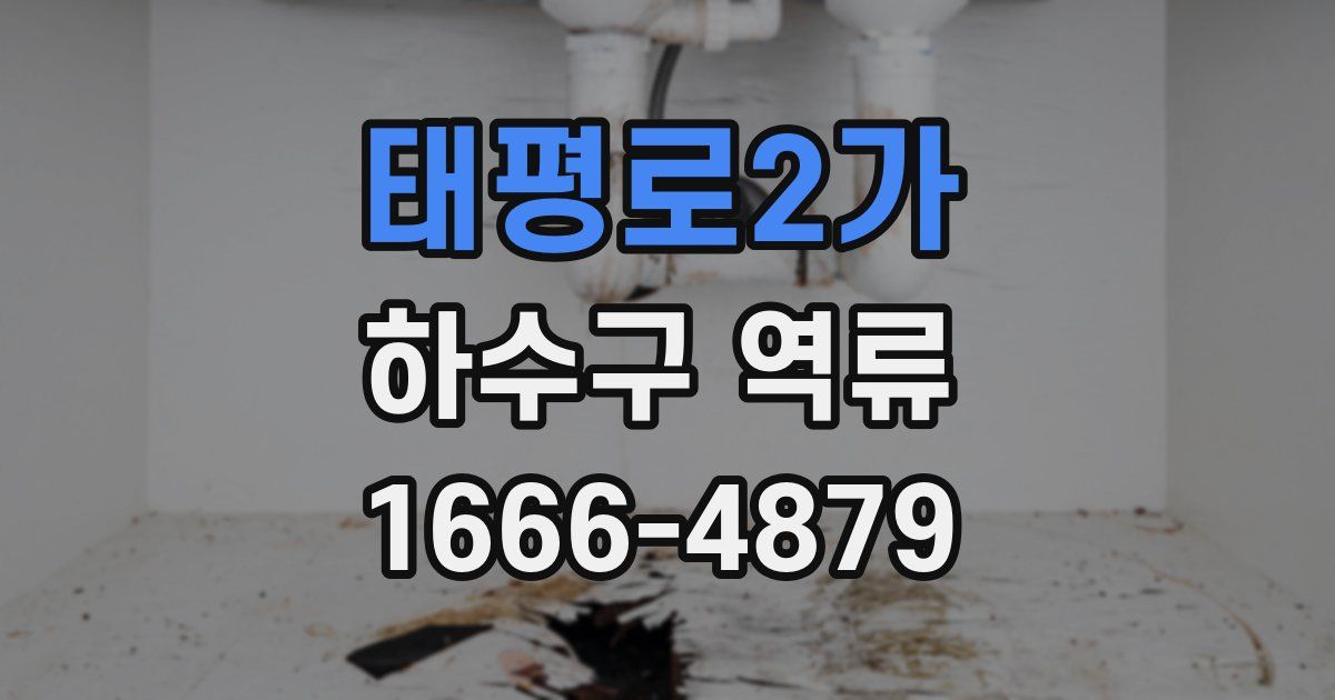 태평로2가 하수구 역류
