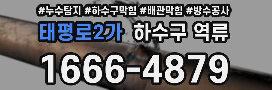 태평로2가 하수구 역류