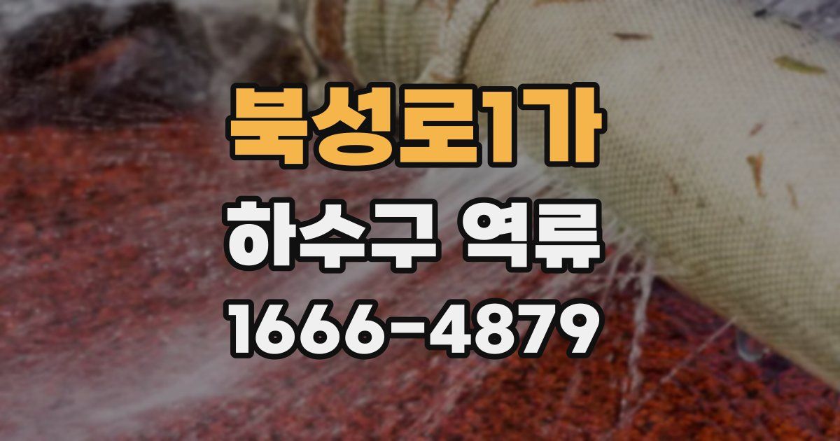 북성로1가 하수구 역류