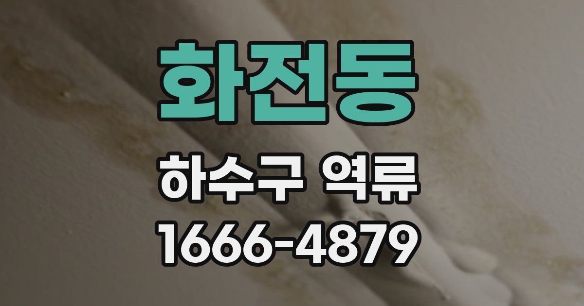 화전동 하수구 역류