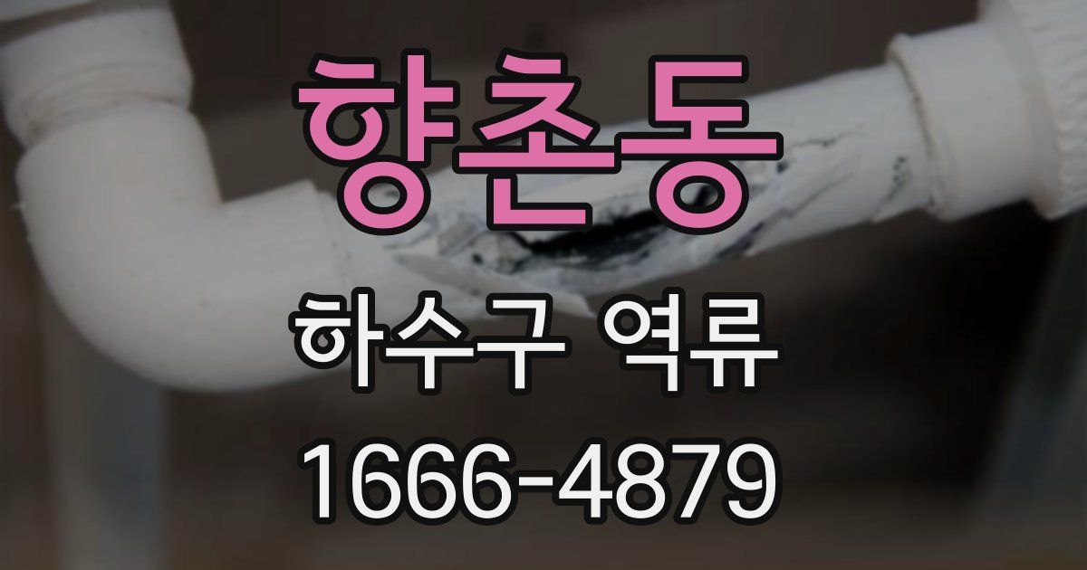 향촌동 하수구 역류