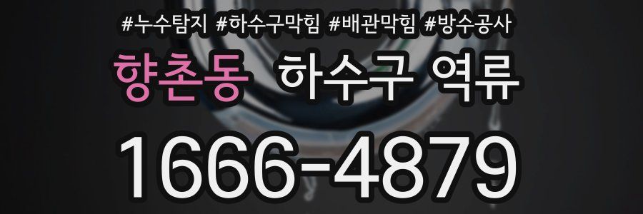 향촌동 하수구 역류