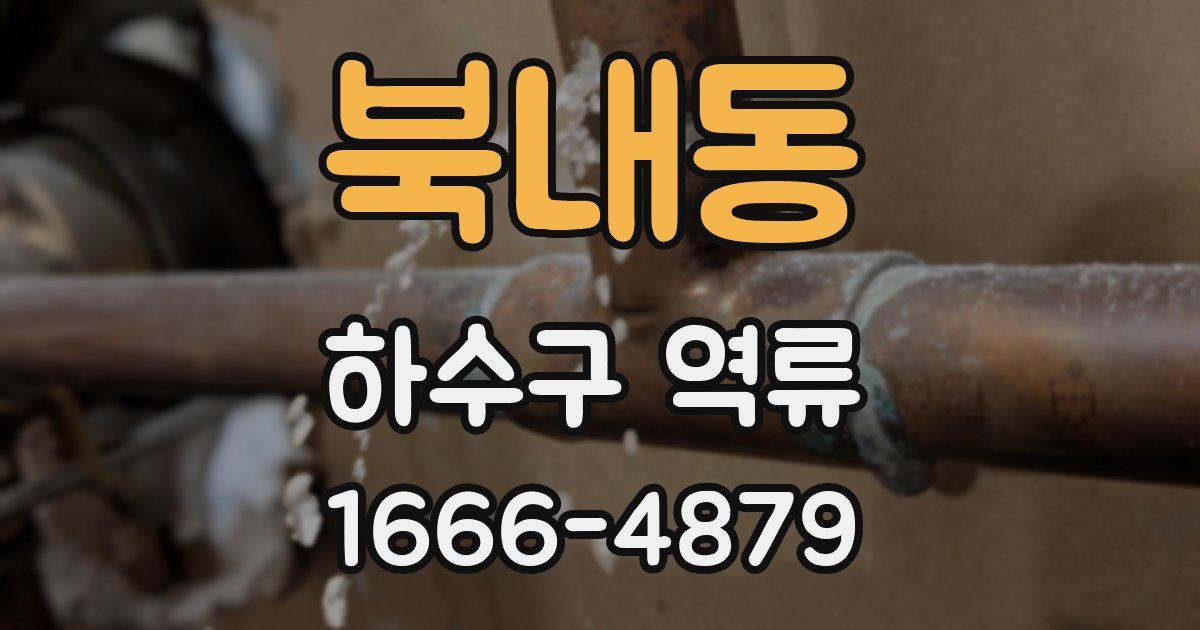 북내동 하수구 역류