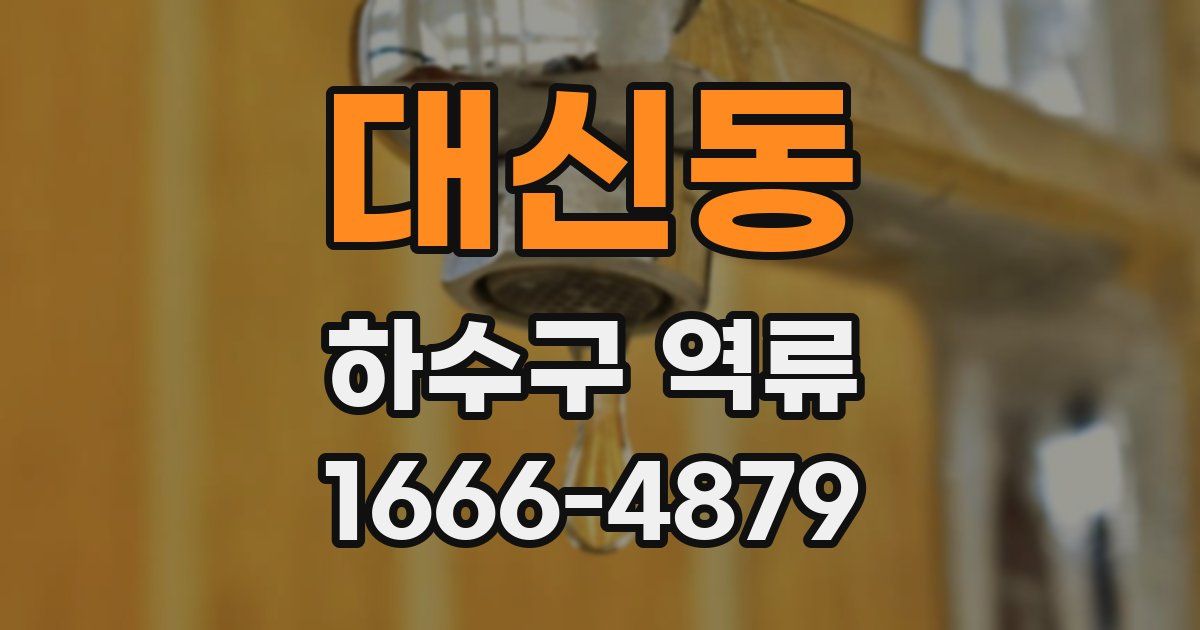 대신동 하수구 역류