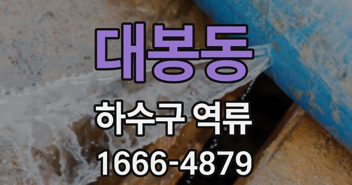 대봉동 하수구 역류