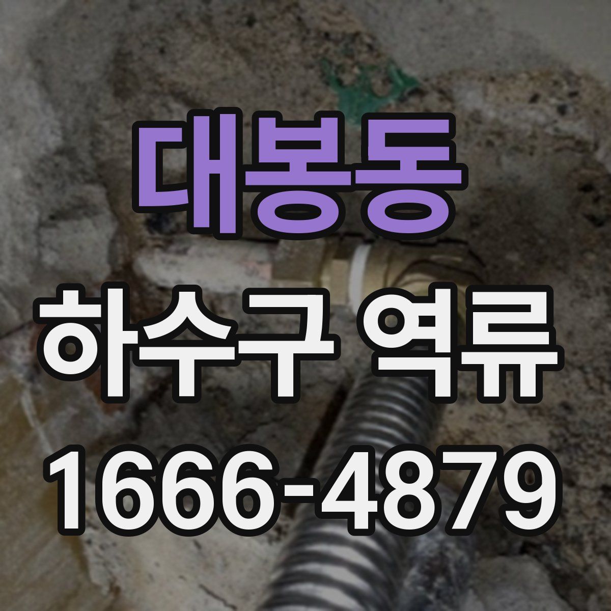대봉동 하수구 역류