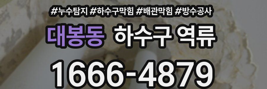대봉동 하수구 역류