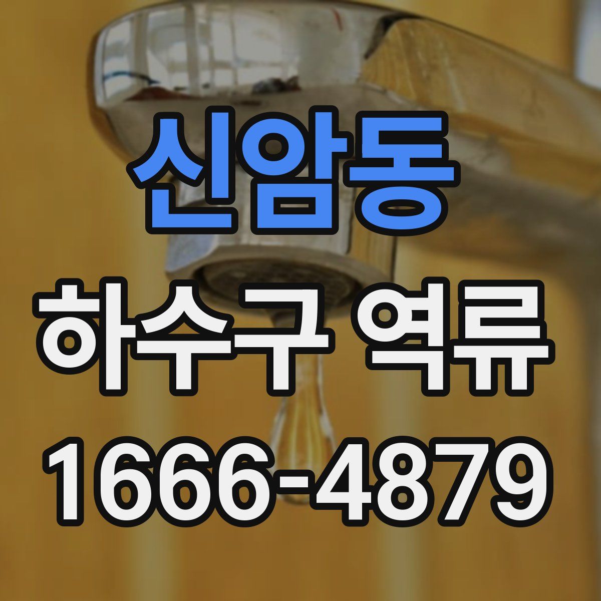 신암동 하수구 역류