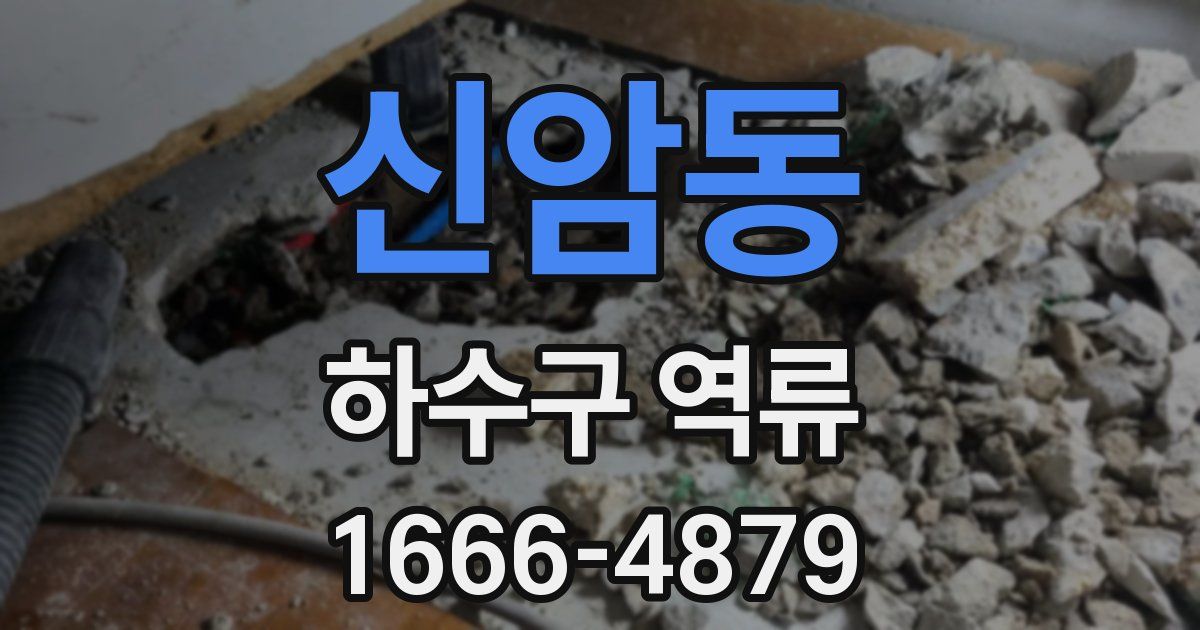 신암동 하수구 역류