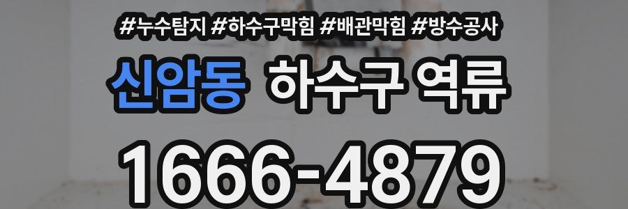 신암동 하수구 역류
