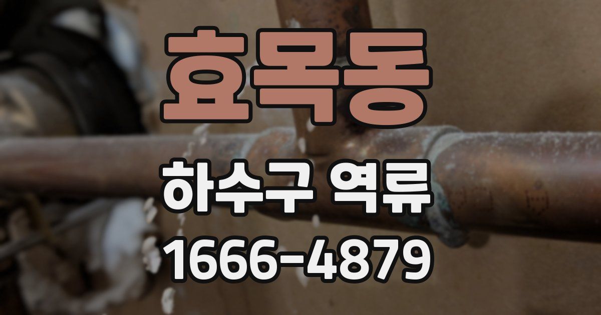 효목동 하수구 역류