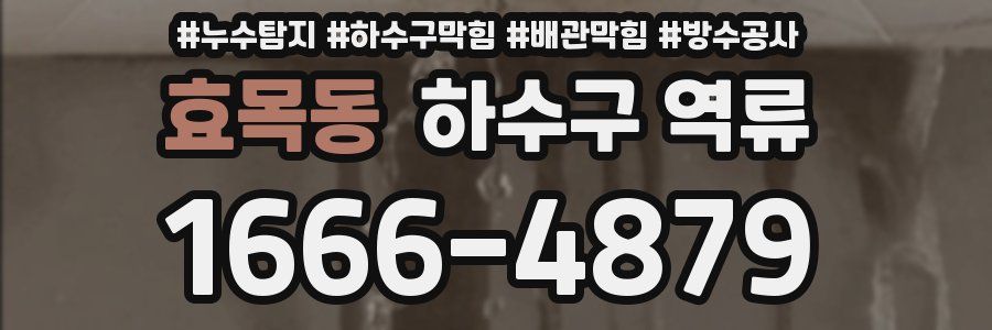 효목동 하수구 역류