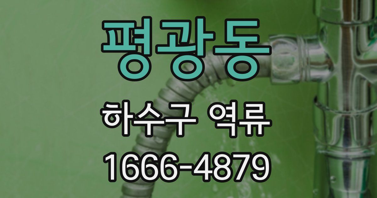 평광동 하수구 역류