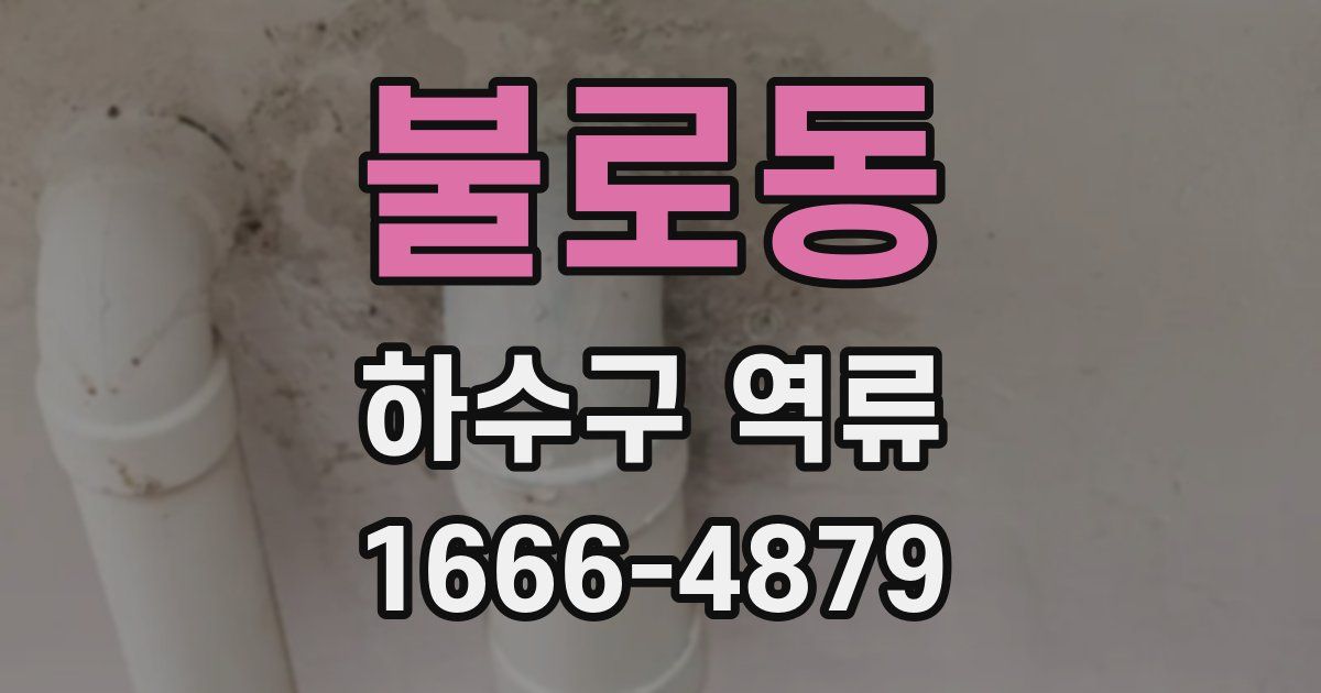 불로동 하수구 역류