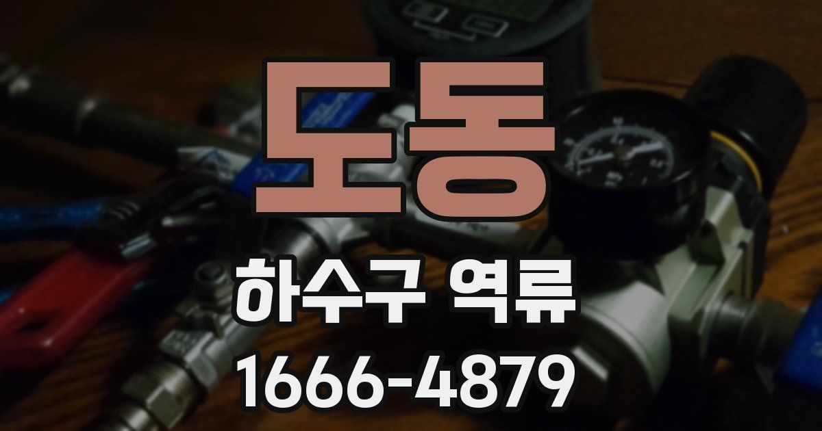 도동 하수구 역류