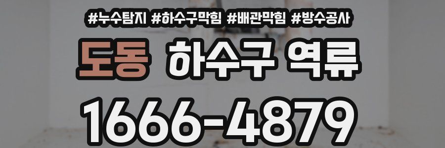 도동 하수구 역류