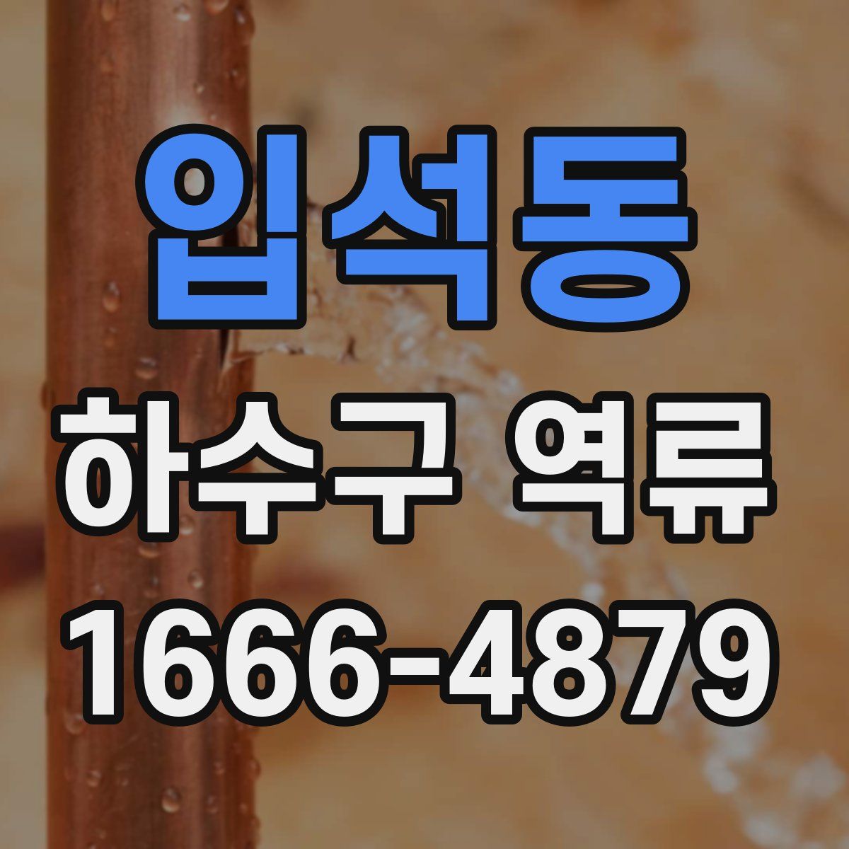 입석동 하수구 역류