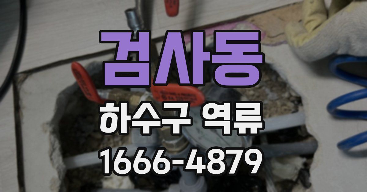 검사동 하수구 역류