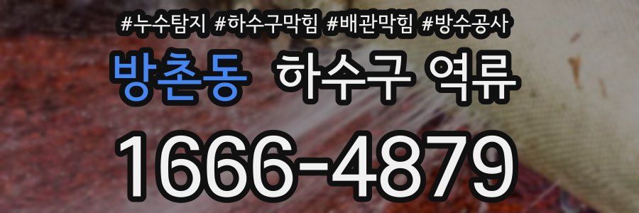 방촌동 하수구 역류