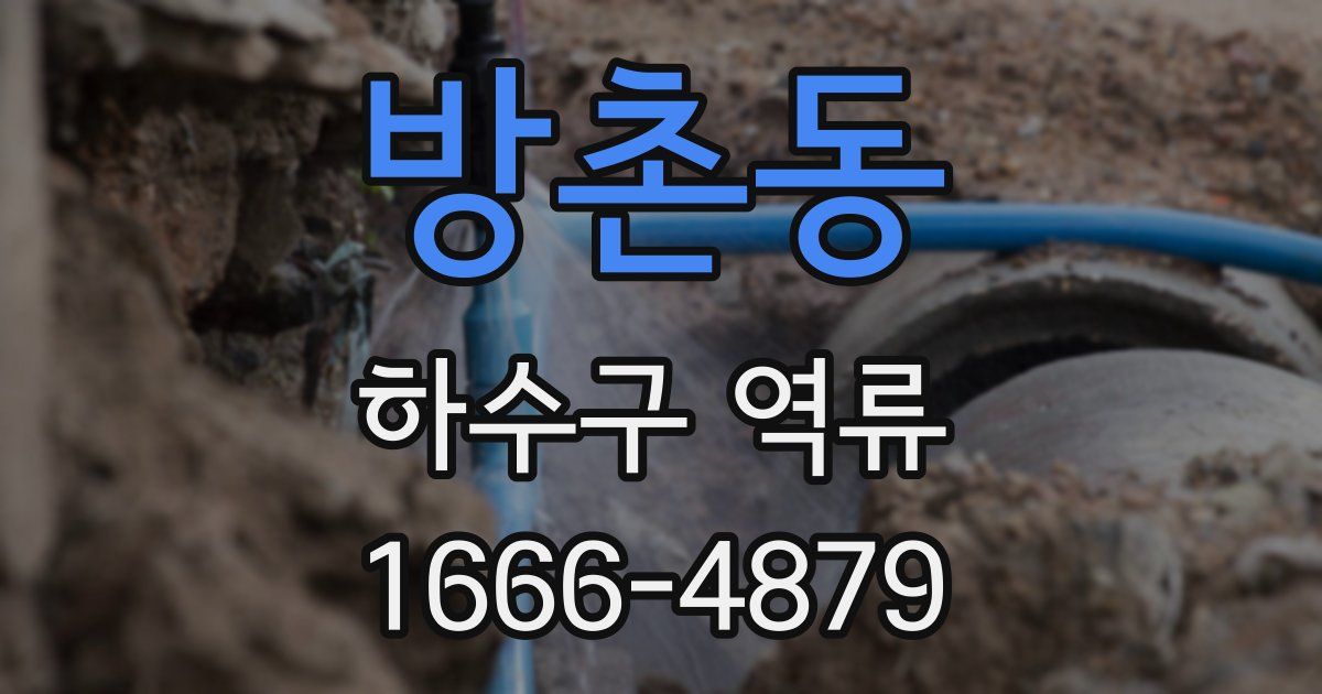 방촌동 하수구 역류