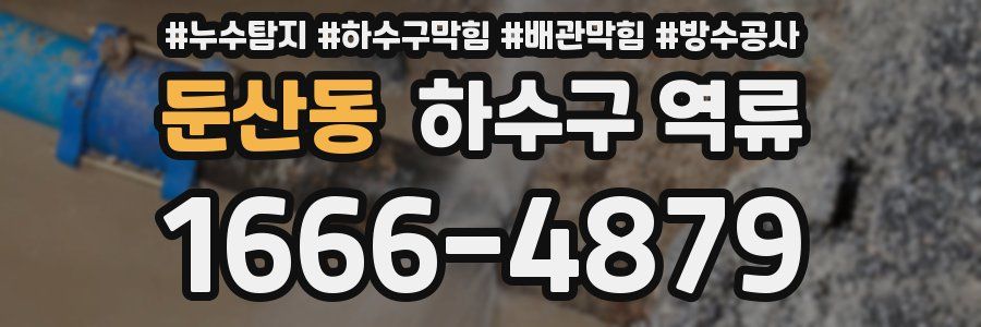 둔산동 하수구 역류