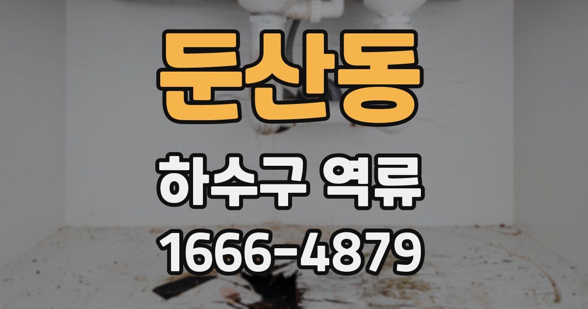 둔산동 하수구 역류