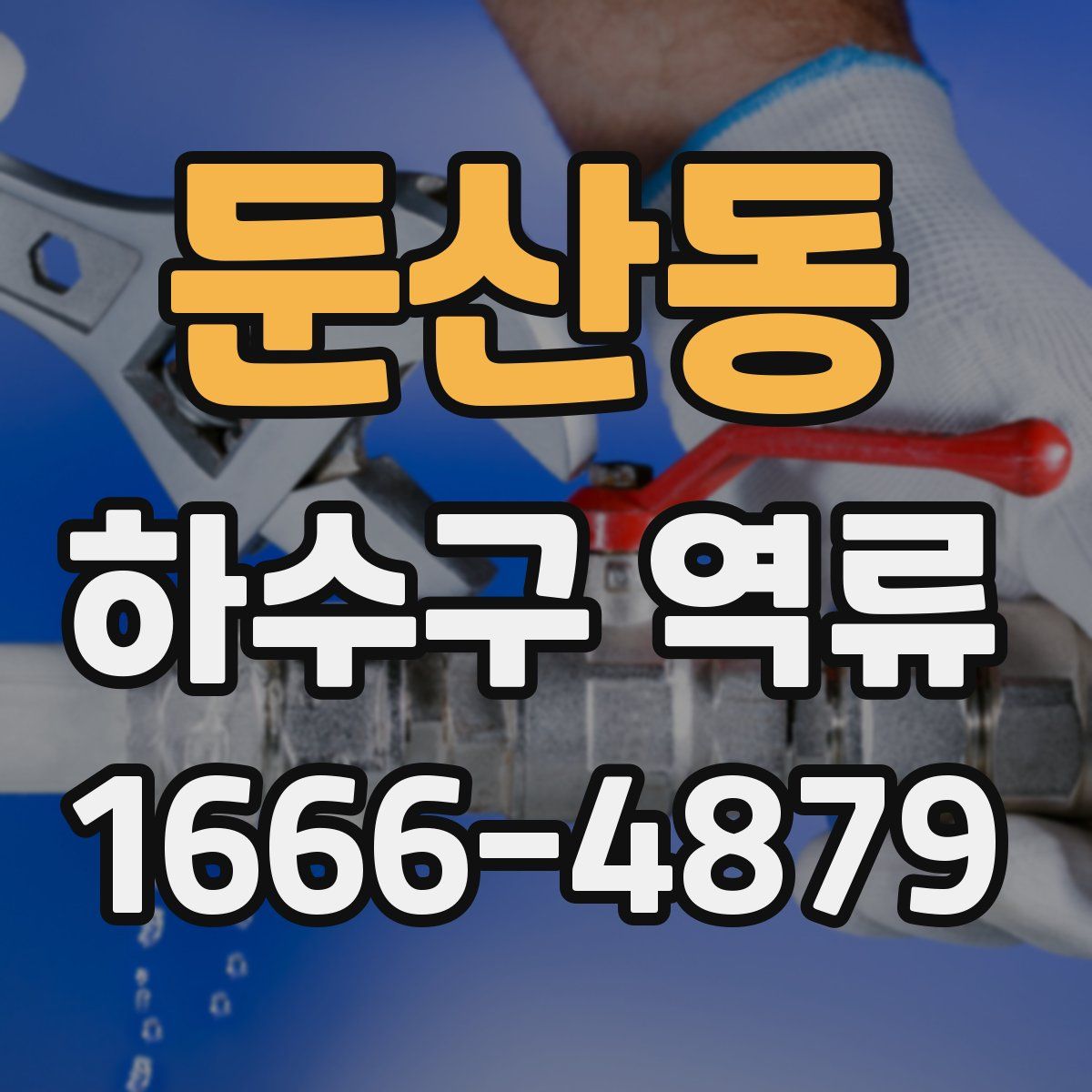 둔산동 하수구 역류